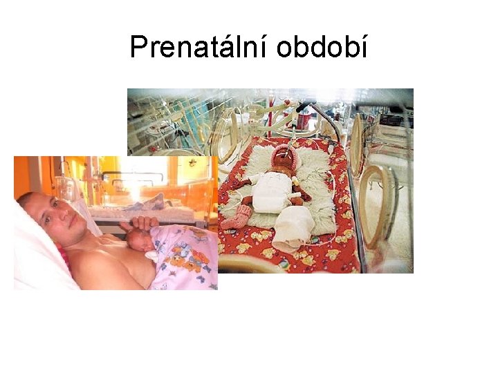 Prenatální období 