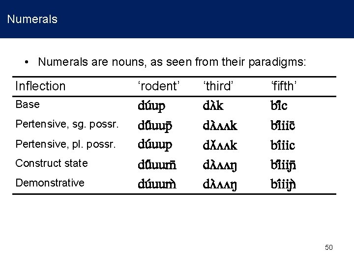 Numerals • Numerals are nouns, as seen from their paradigms: Inflection ‘rodent’ ‘third’ ‘fifth’