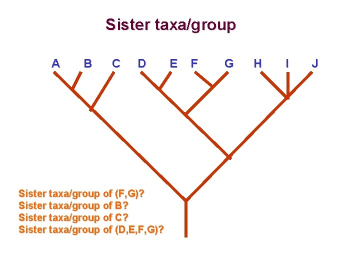 Sister taxa/group A B C D Sister taxa/group of (F, G)? Sister taxa/group of