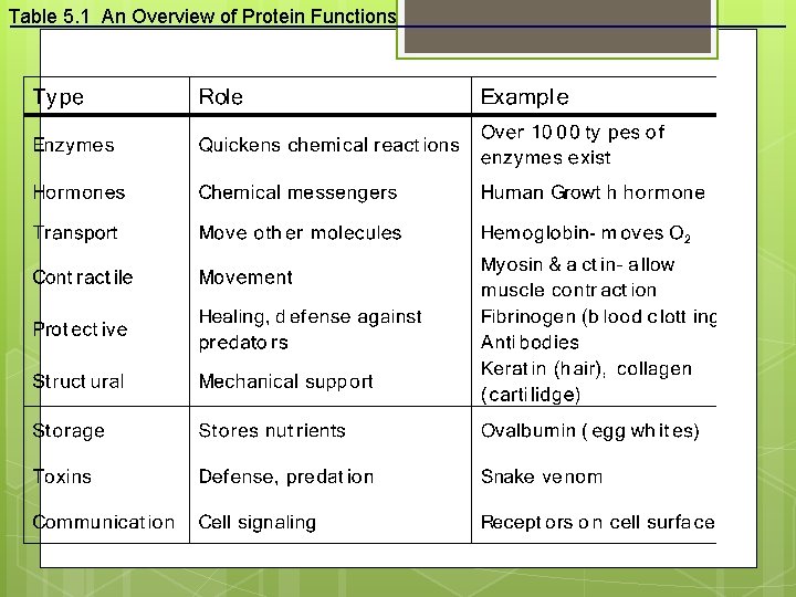Table 5. 1 An Overview of Protein Functions 