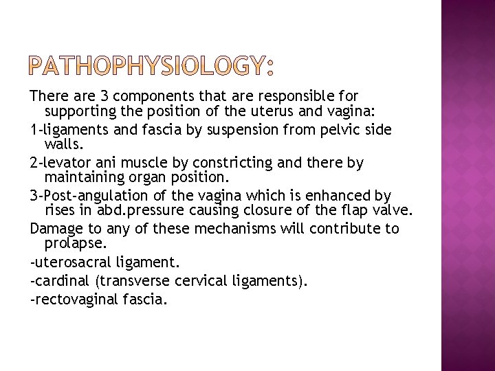 There are 3 components that are responsible for supporting the position of the uterus