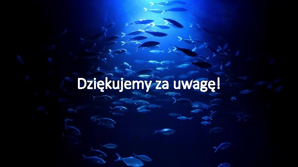 Dziękujemy za uwagę! 