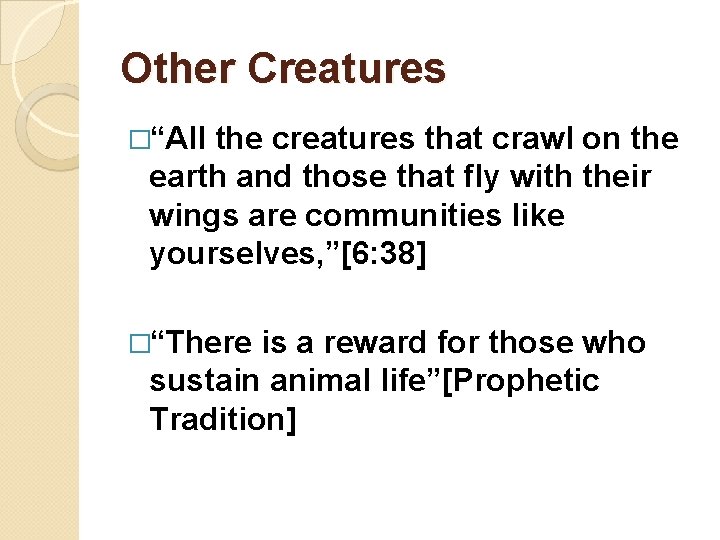 Other Creatures �“All the creatures that crawl on the earth and those that fly