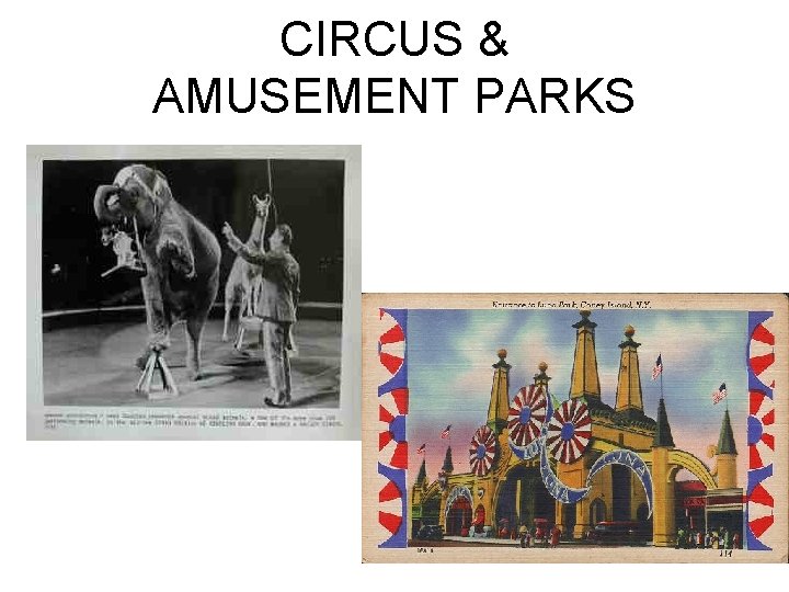 CIRCUS & AMUSEMENT PARKS 