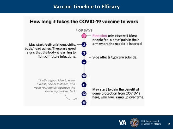 Vaccine Timeline to Efficacy 14 
