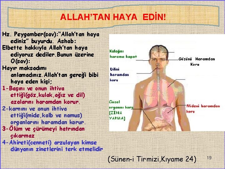 ALLAH’TAN HAYA EDİN! Hz. Peygamber(sav): “Allah’tan haya ediniz” buyurdu. Ashab: Elbette hakkıyla Allah’tan haya