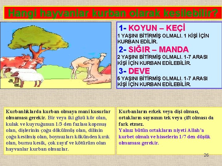 Hangi hayvanlar kurban olarak kesilebilir? 1 - KOYUN – KEÇİ 1 YAŞINI BİTİRMİŞ OLMALI.