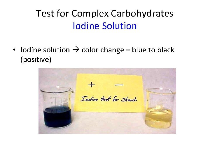 Test for Complex Carbohydrates Iodine Solution • Iodine solution color change = blue to