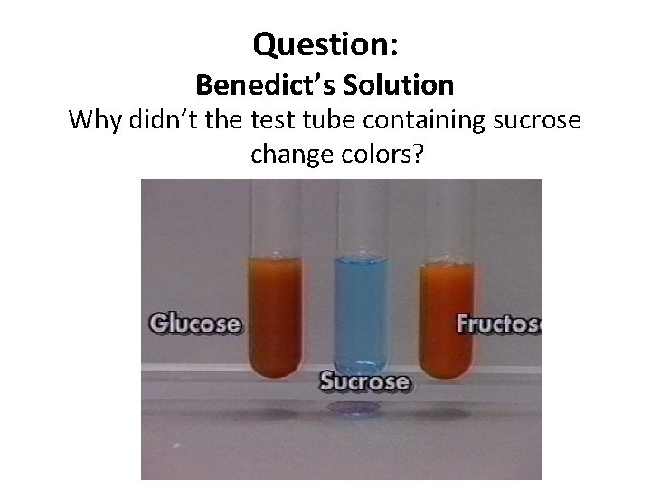 Question: Benedict’s Solution Why didn’t the test tube containing sucrose change colors? 