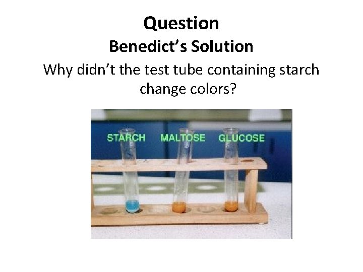 Question Benedict’s Solution Why didn’t the test tube containing starch change colors? 