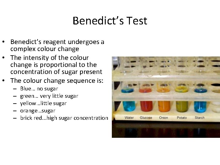 Benedict’s Test • Benedict’s reagent undergoes a complex colour change • The intensity of