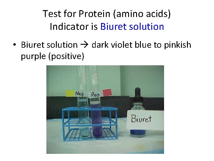 Test for Protein (amino acids) Indicator is Biuret solution • Biuret solution dark violet