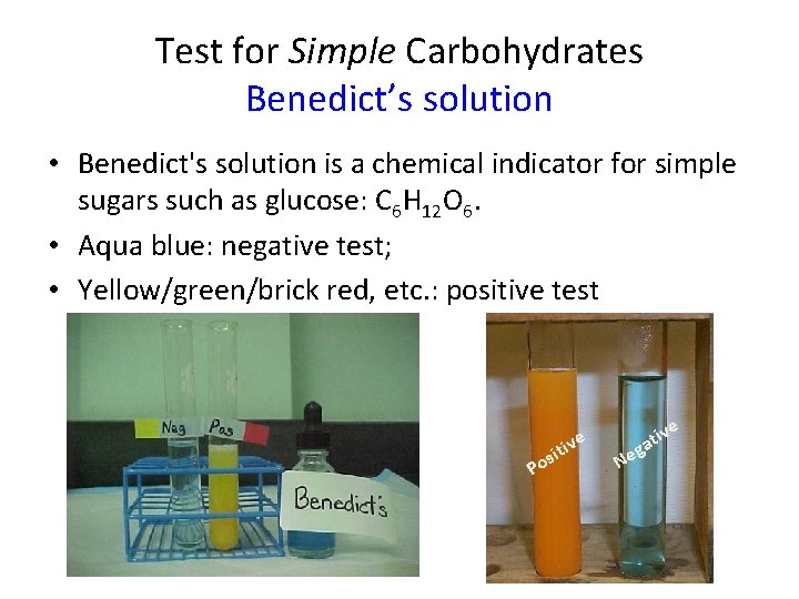 Test for Simple Carbohydrates Benedict’s solution • Benedict's solution is a chemical indicator for