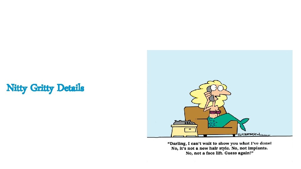 Nitty Gritty Details 