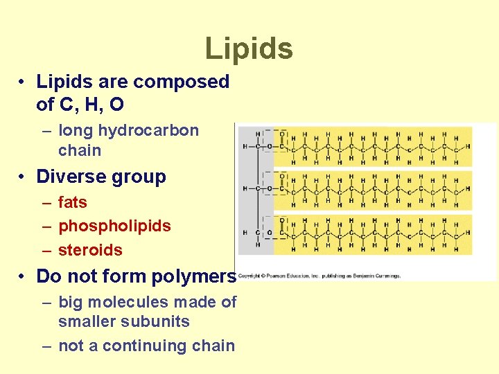 Lipids • Lipids are composed of C, H, O – long hydrocarbon chain •