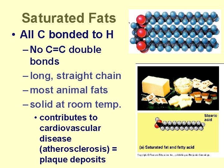 Saturated Fats • All C bonded to H – No C=C double bonds –