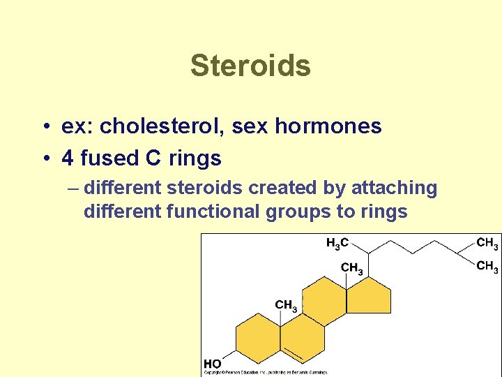 Steroids • ex: cholesterol, sex hormones • 4 fused C rings – different steroids