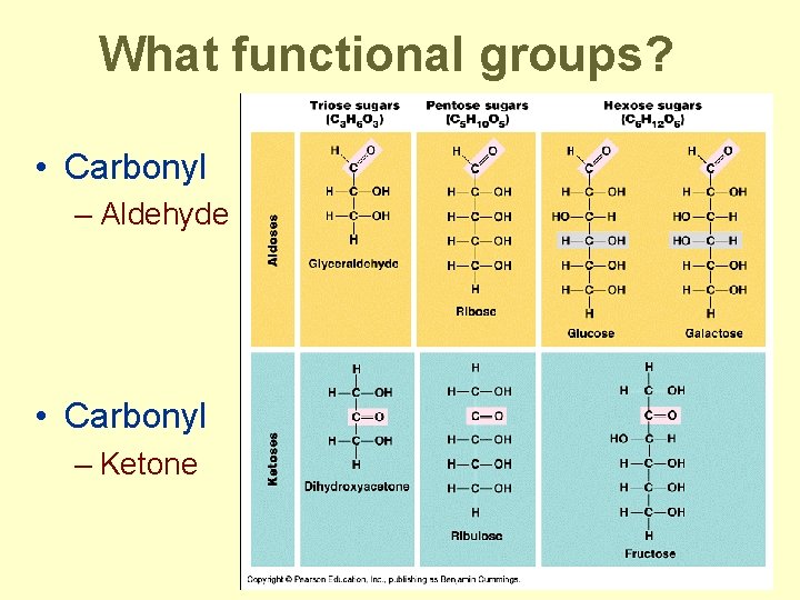 What functional groups? • Carbonyl – Aldehyde • Carbonyl – Ketone 