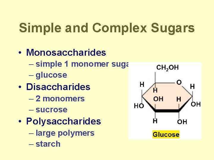 Simple and Complex Sugars • Monosaccharides – simple 1 monomer sugars – glucose •