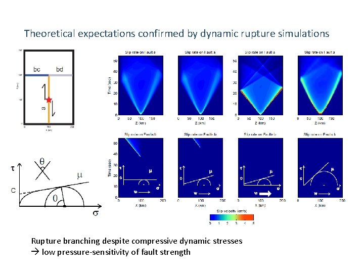 Theoretical expectations confirmed by dynamic rupture simulations Rupture branching despite compressive dynamic stresses low