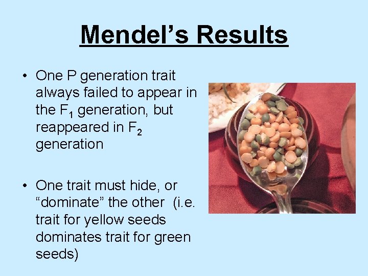 Mendel’s Results • One P generation trait always failed to appear in the F