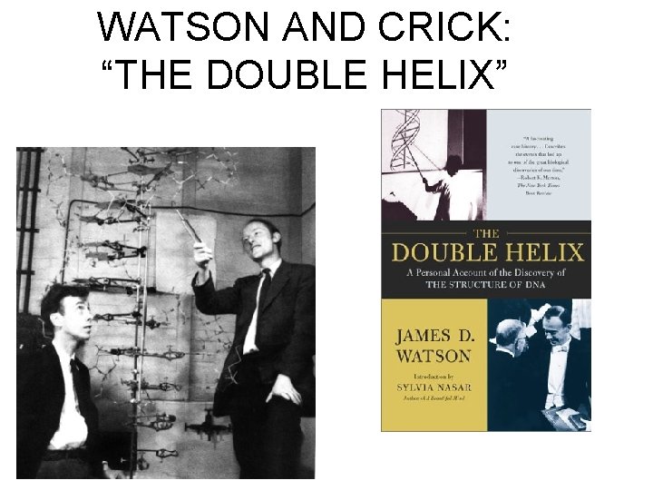WATSON AND CRICK: “THE DOUBLE HELIX” 