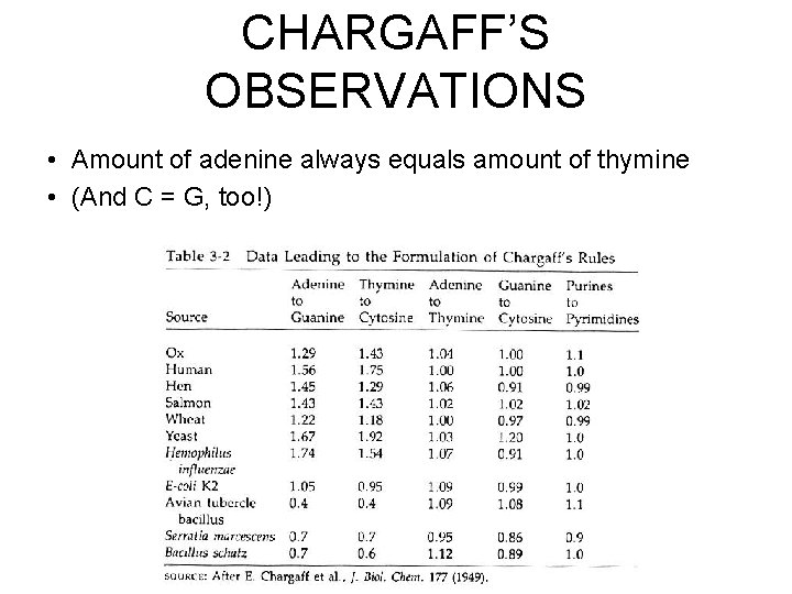 CHARGAFF’S OBSERVATIONS • Amount of adenine always equals amount of thymine • (And C