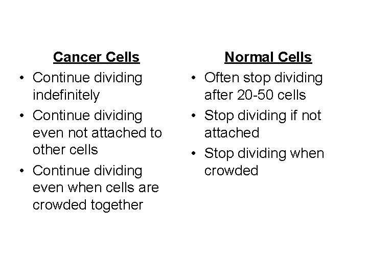 Cancer Cells • Continue dividing indefinitely • Continue dividing even not attached to other