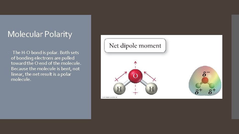 Molecular Polarity The H-O bond is polar. Both sets of bonding electrons are pulled Molecular Polarity The H-O bond is polar. Both sets of bonding electrons are pulled