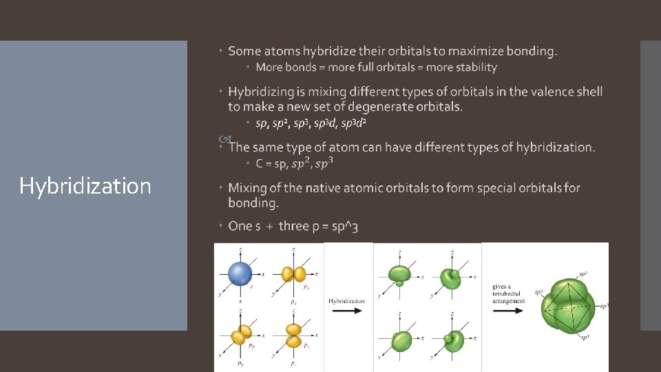 Hybridization   Hybridization