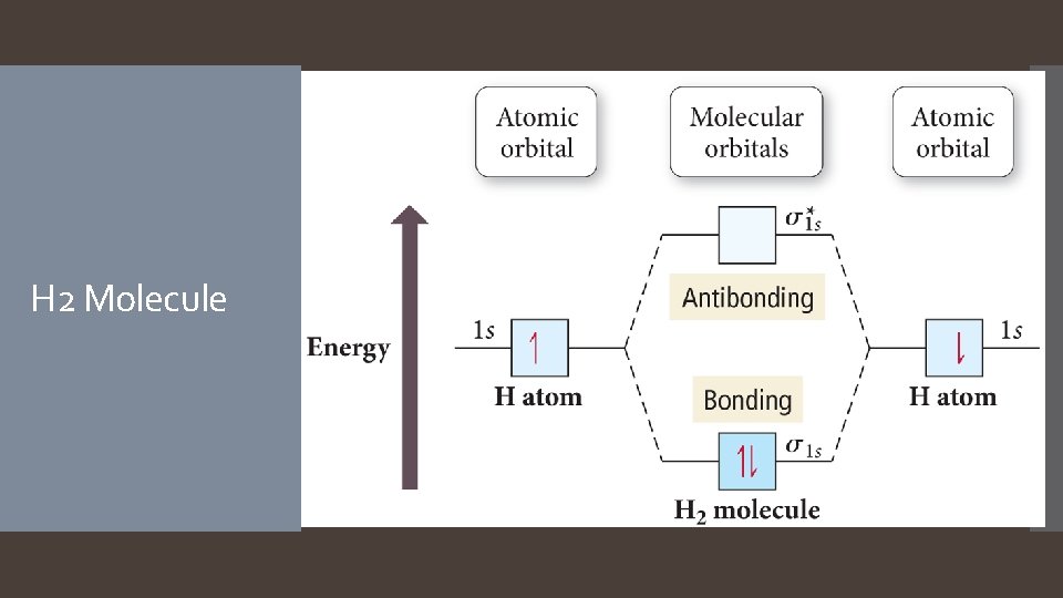 H 2 Molecule  H 2 Molecule