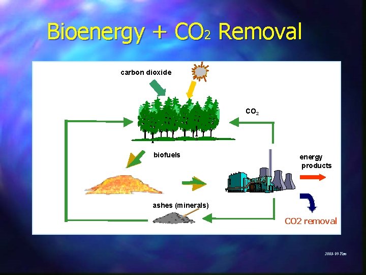 Bioenergy + CO 2 Removal carbon dioxide CO 2 biofuels energy products ashes (minerals)