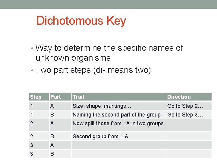 Dichotomous Key • Way to determine the specific names of unknown organisms • Two