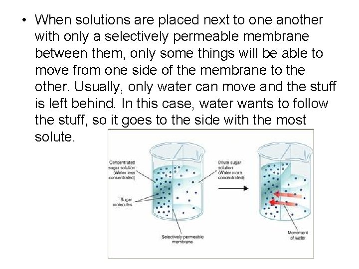  • When solutions are placed next to one another with only a selectively