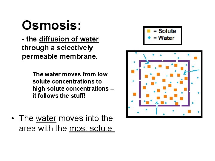 Osmosis: - the diffusion of water through a selectively permeable membrane. The water moves