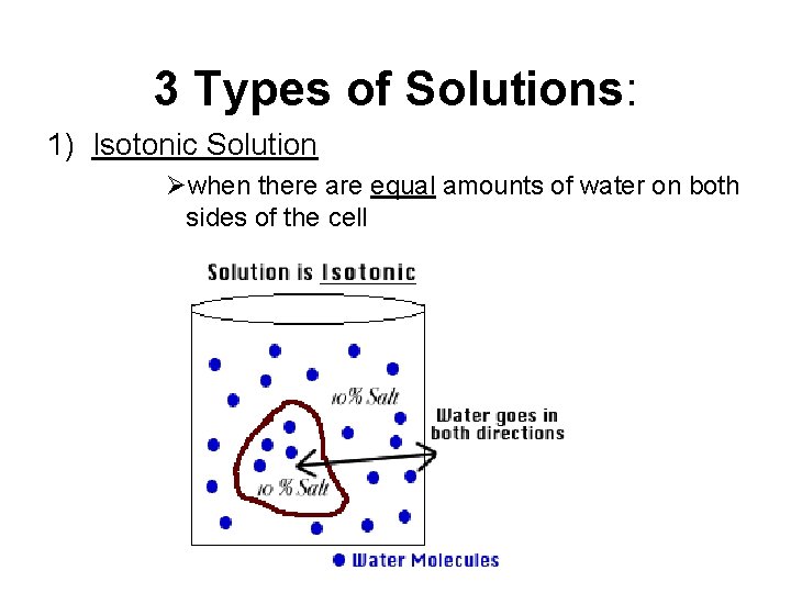 3 Types of Solutions: 1) Isotonic Solution Øwhen there are equal amounts of water