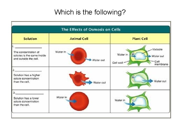 Which is the following? 