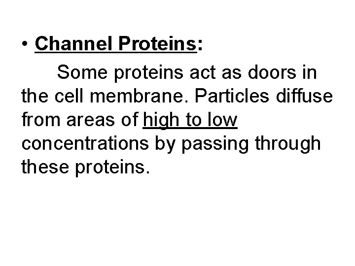  • Channel Proteins: Some proteins act as doors in the cell membrane. Particles
