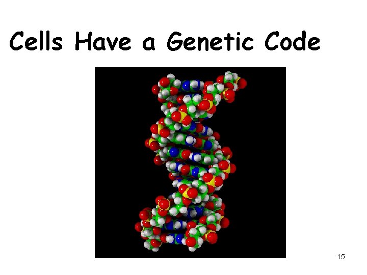 Cells Have a Genetic Code 15 