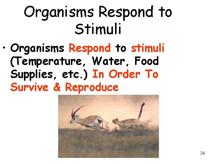 Organisms Respond to Stimuli • Organisms Respond to stimuli (Temperature, Water, Food Supplies, etc.