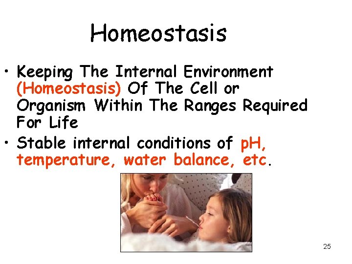 Homeostasis • Keeping The Internal Environment (Homeostasis) Of The Cell or Organism Within The