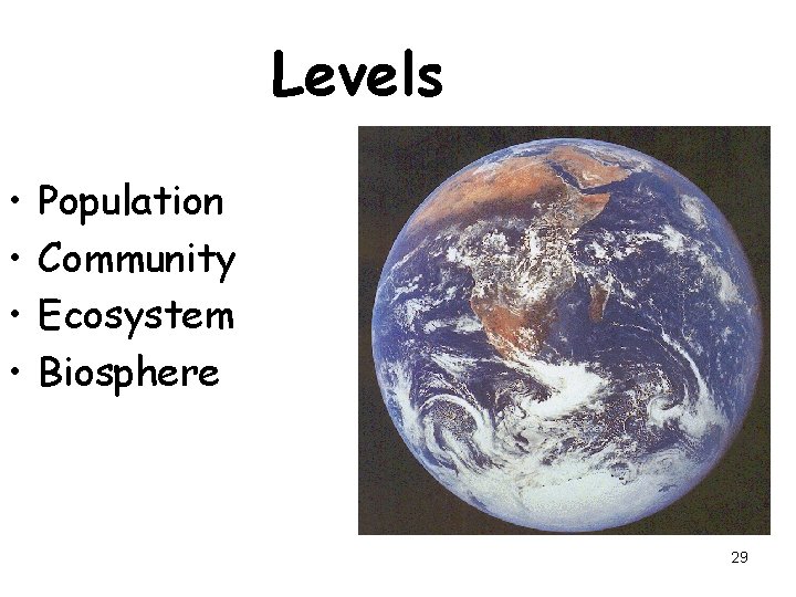Levels • • Population Community Ecosystem Biosphere 29 