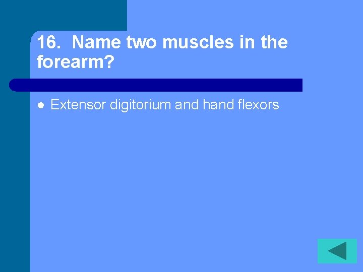 16. Name two muscles in the forearm? l Extensor digitorium and hand flexors 