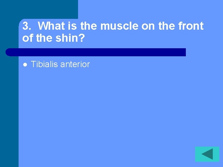 3. What is the muscle on the front of the shin? l Tibialis anterior
