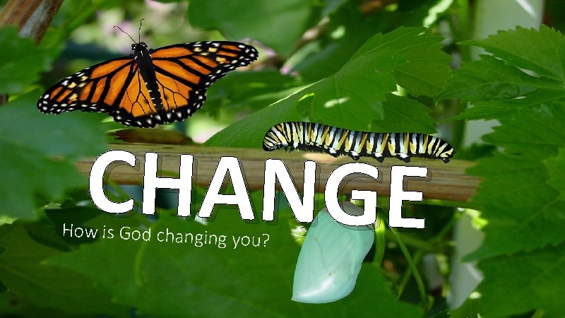 CHANGE How is God changing yo u? 