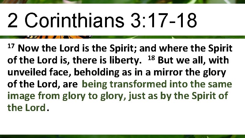 2 Corinthians 3: 17 -18 Now the Lord is the Spirit; and where the