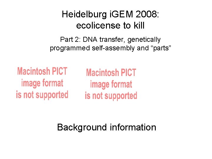 Heidelburg i. GEM 2008: ecolicense to kill Part 2: DNA transfer, genetically programmed self-assembly