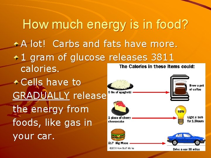 How much energy is in food? A lot! Carbs and fats have more. 1