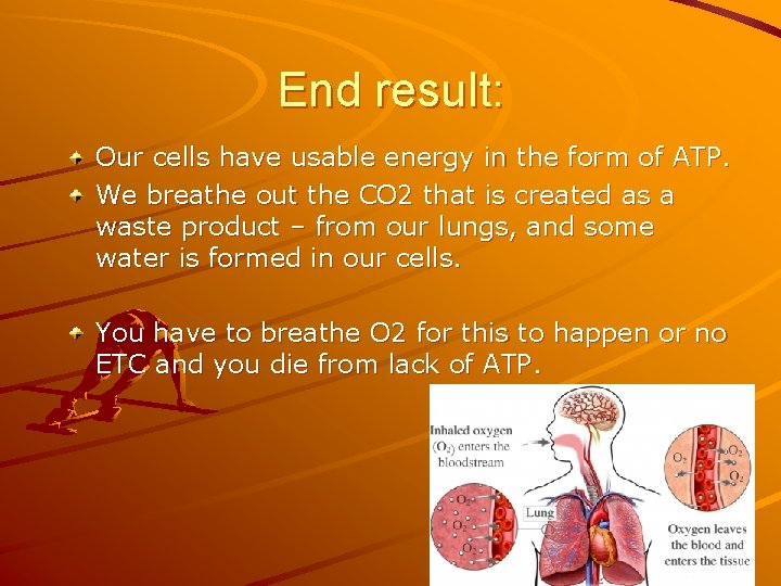End result: Our cells have usable energy in the form of ATP. We breathe