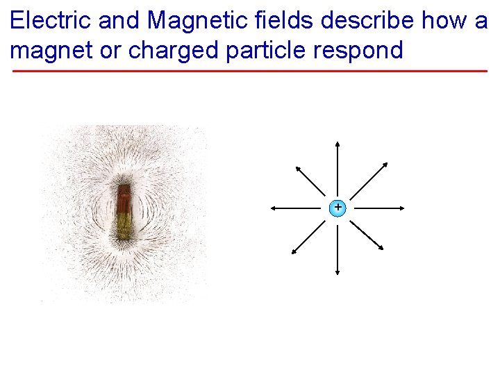 Electric and Magnetic fields describe how a magnet or charged particle respond + 